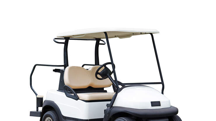 Naked Woman Arrested After Driving Golf Cart Into Police 