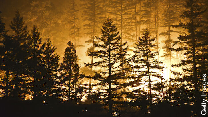 42 ET-Seeking Telescopes in the Path of California Wildfire