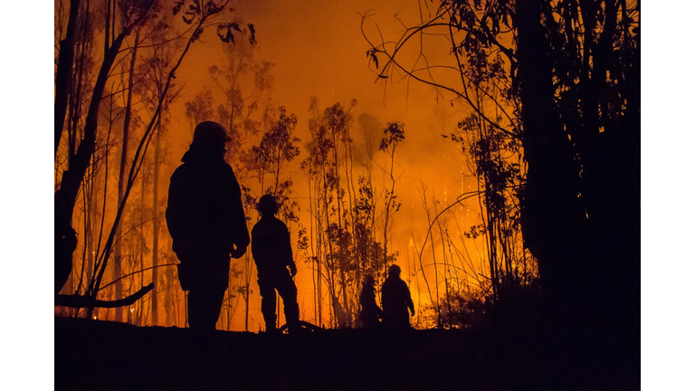 Low Angle View Of Silhouette Firefighters And Trees During Forest Fire