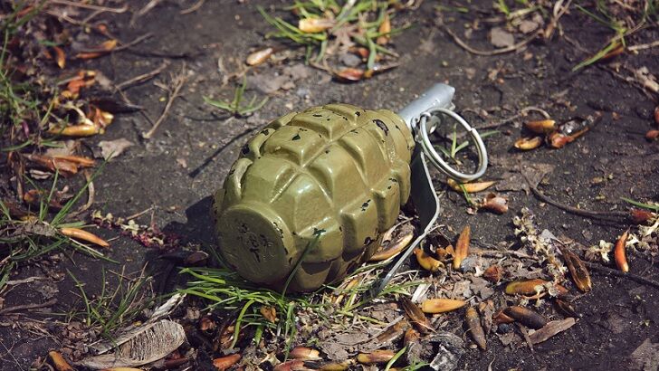 Pennsylvania Boy Hunting for Treasure Finds Hand Grenade in Backyard