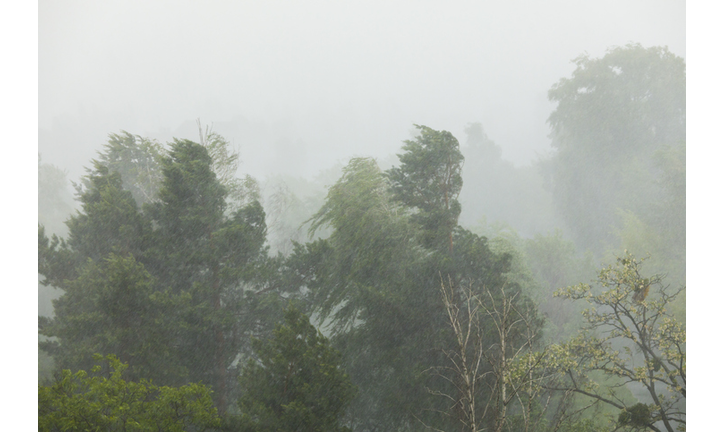 Stormy weather