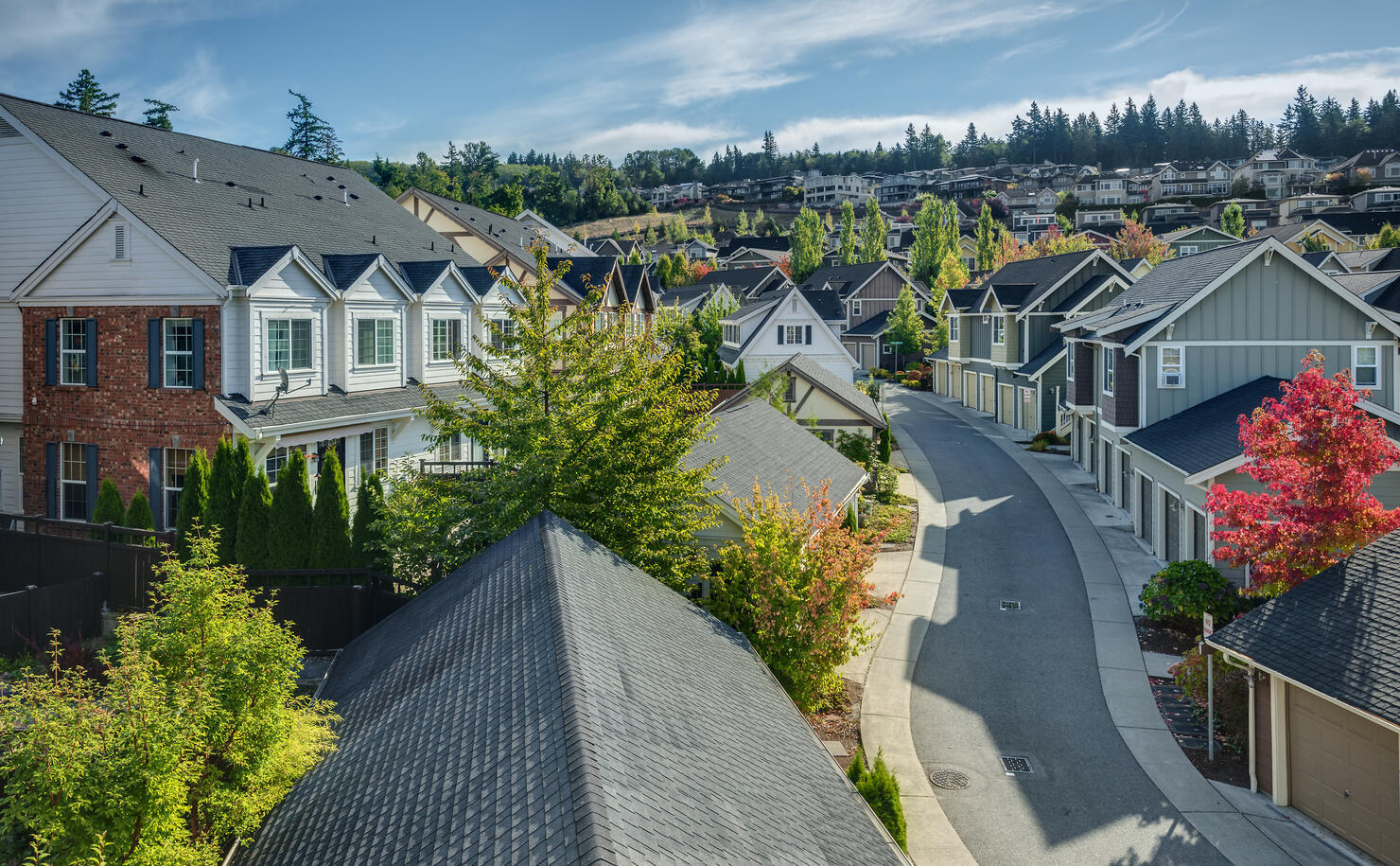 Elevated View of Residential Street