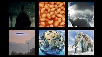 In Coast You Missed It 9/17/21