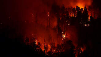 World's Largest Tree Wrapped In Fireproof Blanket As Fires Reach Sequoias