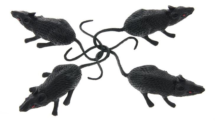 bne IntelliNews - Rare 'rat king' found in Estonia