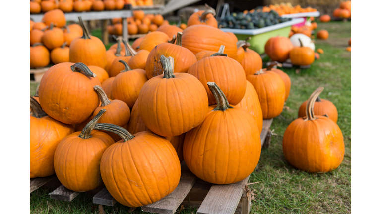 Pumpkin display for Halloween