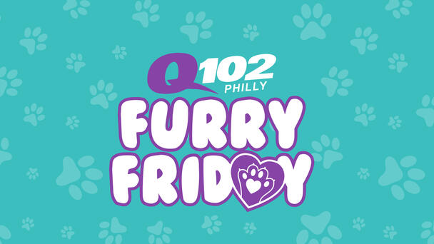 Meet This Week's Adoptable Q102 Furry Friday Pet of the Week!