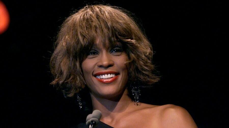 Here's Everything To Know About MAC Cosmetics' Whitney Houston