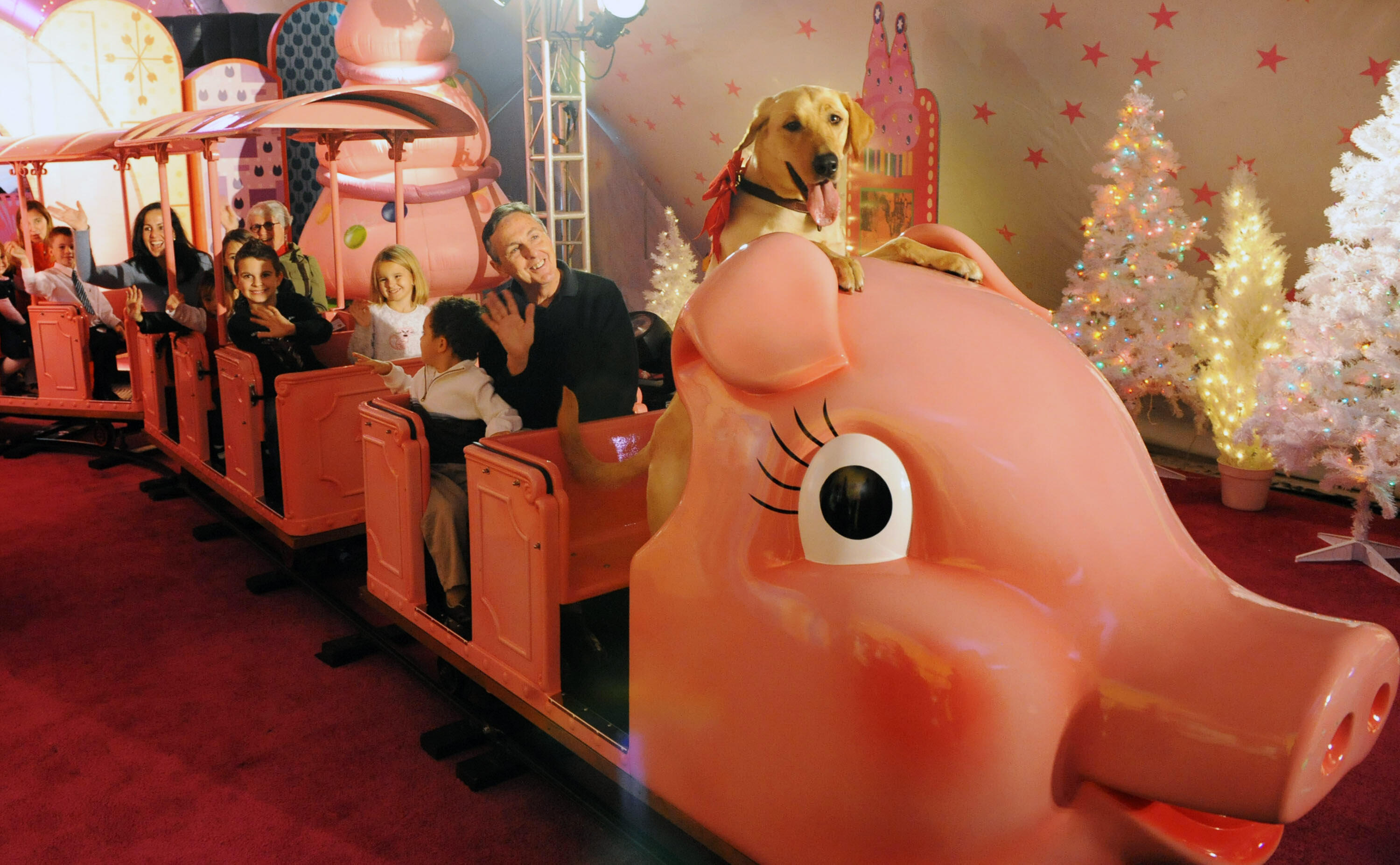 Macy's Priscilla The Pink Pig Is Retiring After Over 50 Years In