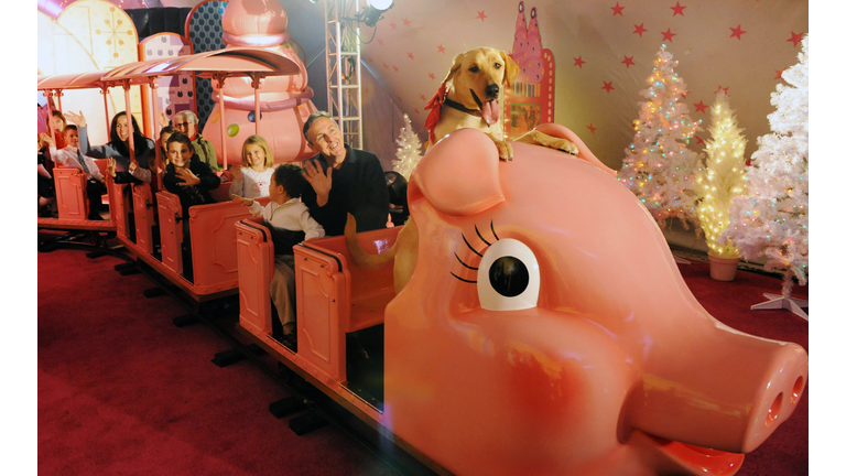 Marley, the Dog from "Marley and Me", Visits Various Atlanta Landmarks