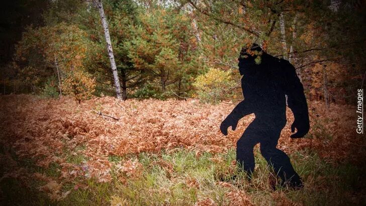 Video: Colorado Hikers Startled by 'Bigfoot'