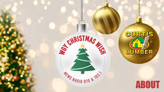 About WGY Christmas Wish