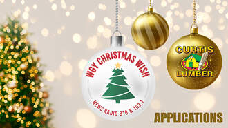 WGY Christmas Wish Application 