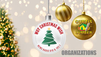 Christmas Wish Organizations 