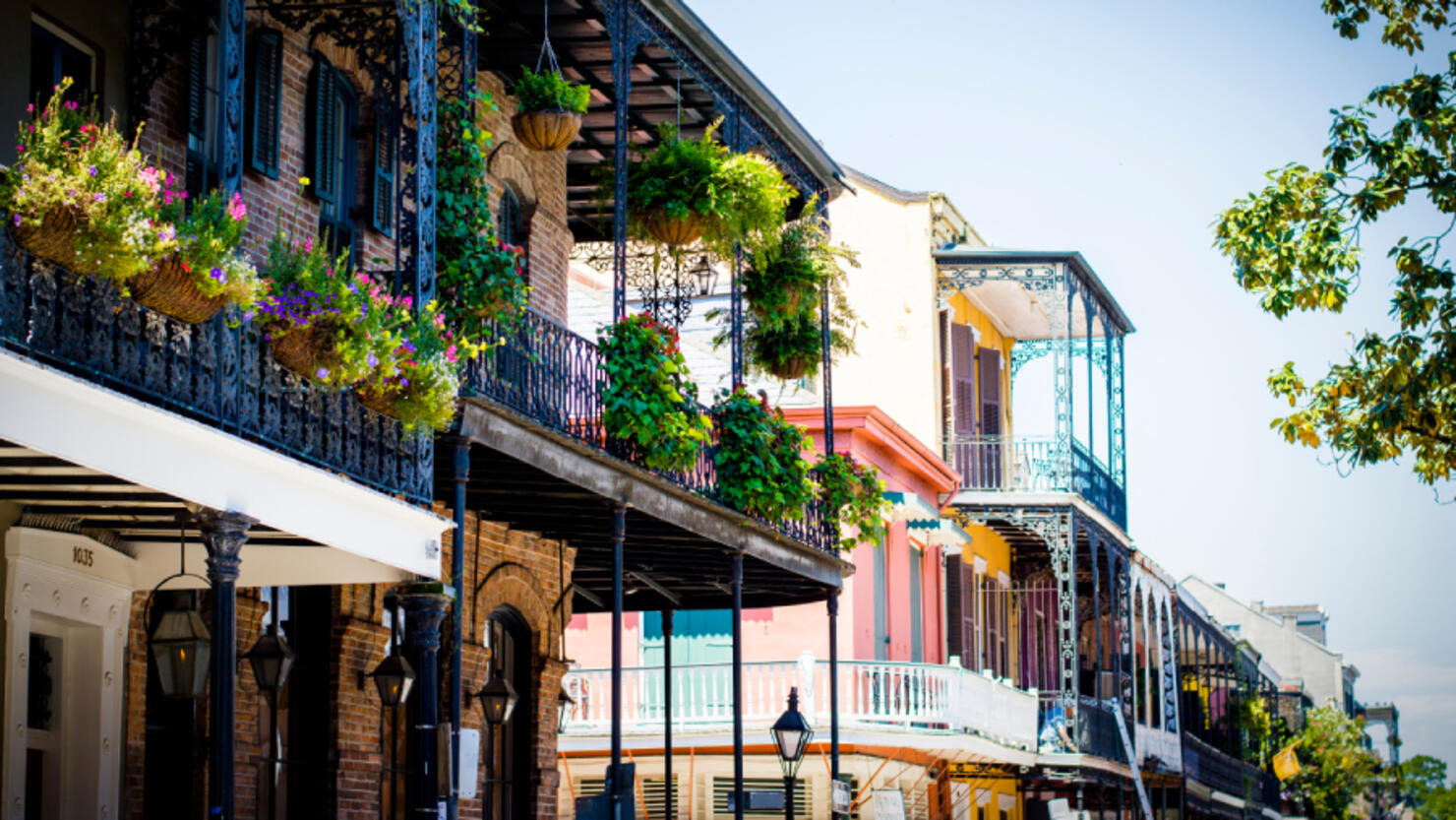 Here's Why New Orleans Was Named One Of The Best Big Cities In The U.S ...