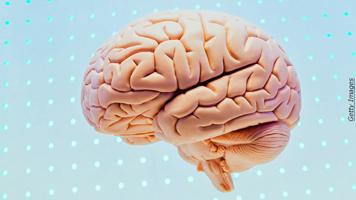 Whole Brain Living / Divine Revelation