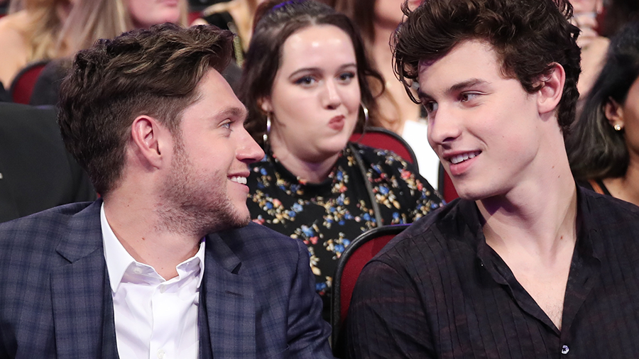 Shawn Mendes Teases Collab With Niall Horan And Fans Are Freaking Out Iheart 