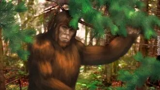 Watch: Hiker Films Bigfoot in Canyon?