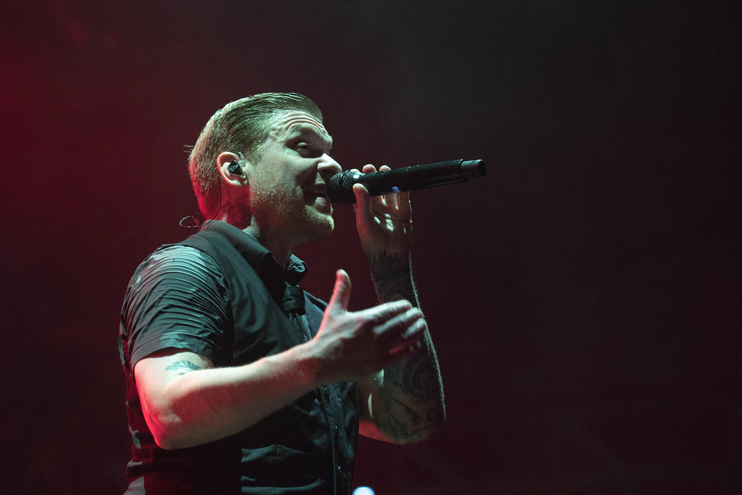EDBD: Shinedown