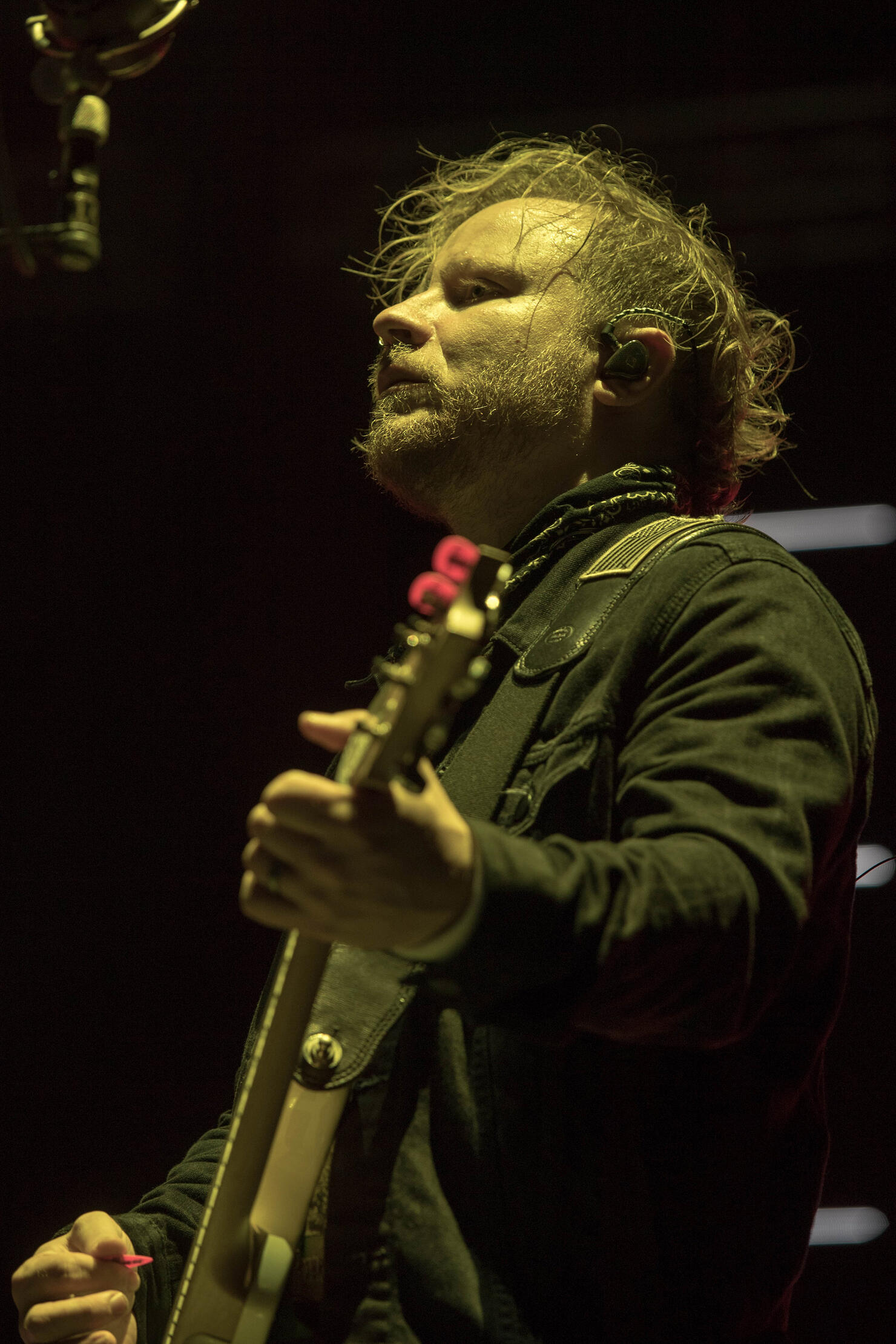 EDBD: Shinedown