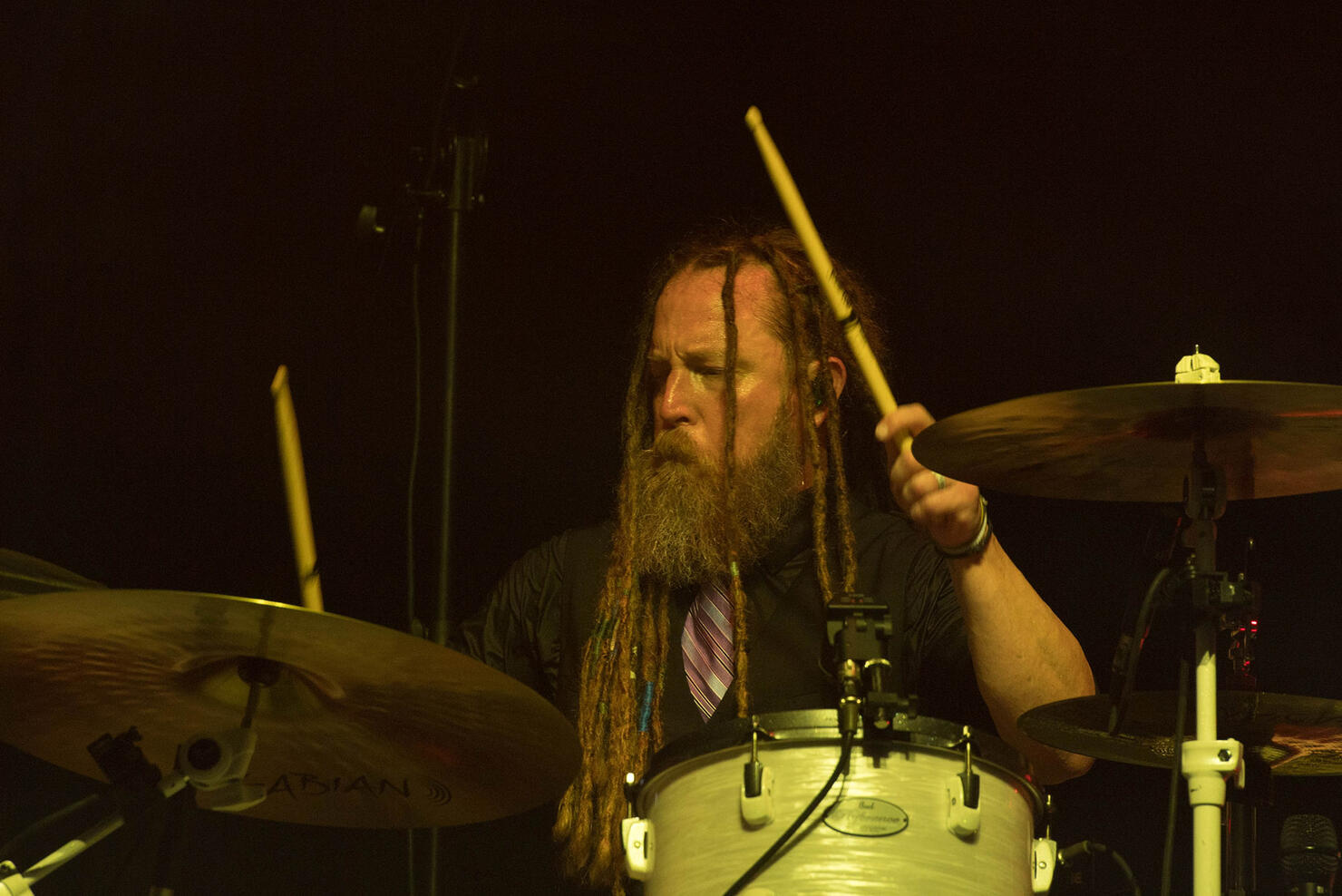 EDBD: Shinedown