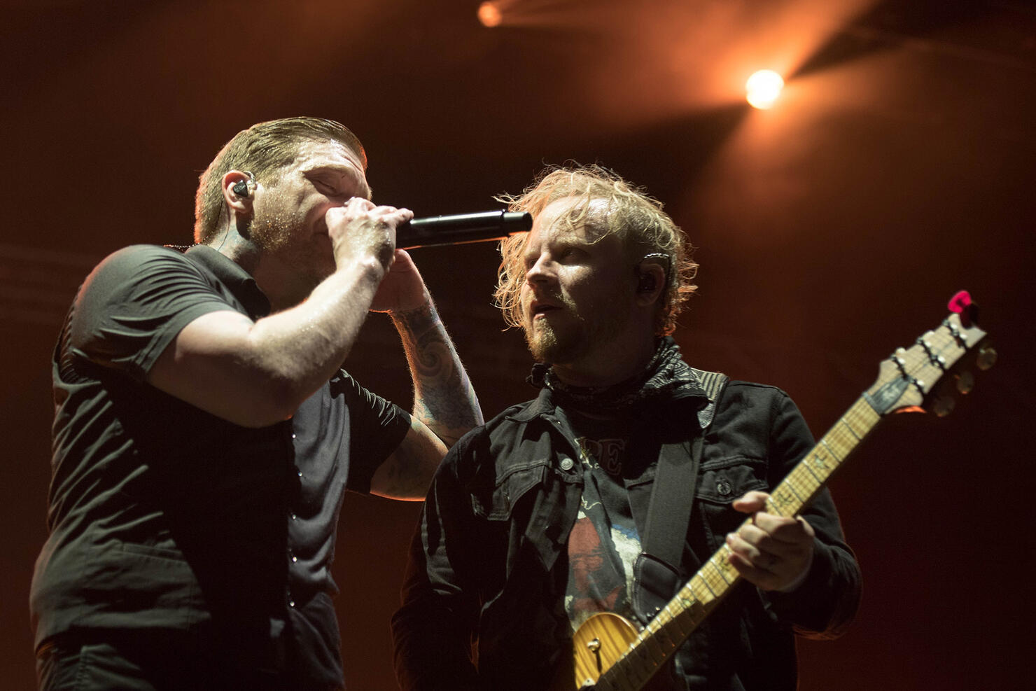 EDBD: Shinedown
