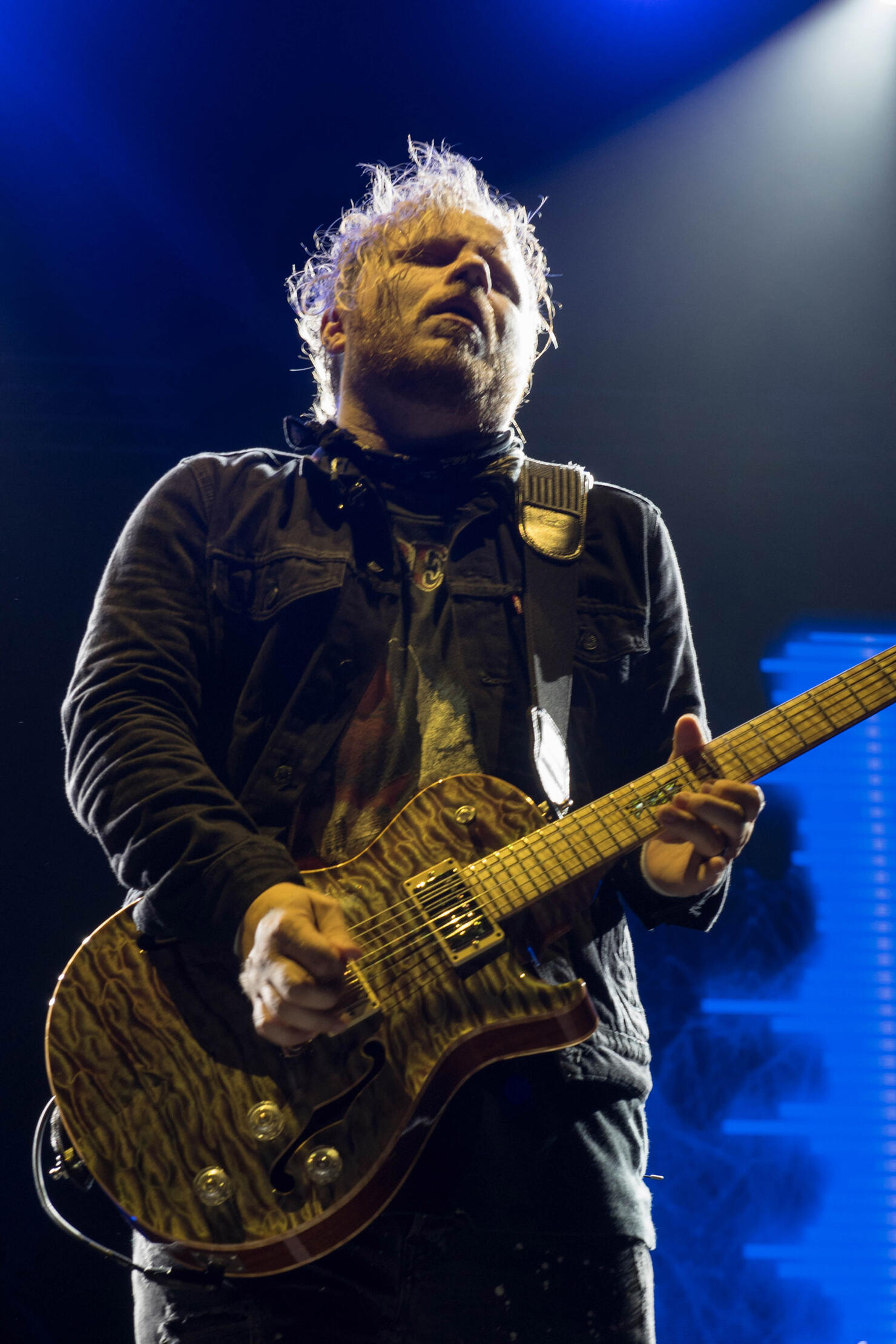 EDBD: Shinedown