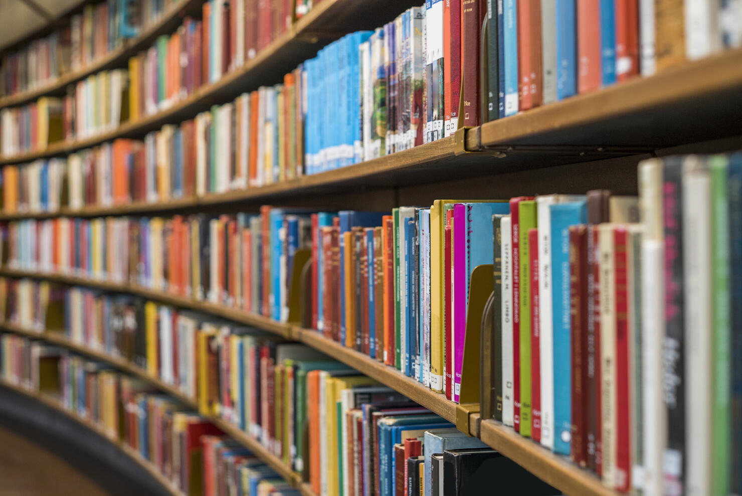 Books on bookshelves