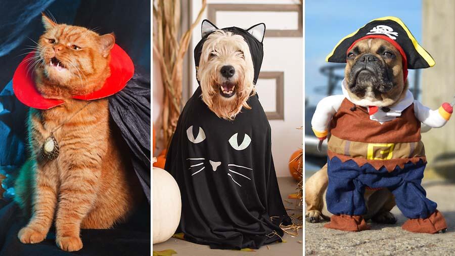 Puppy Dog Cat Halloween Clothes Police Officer Uniform Holiday