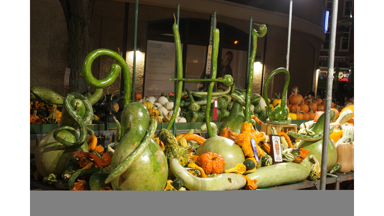 Preview Night of the 2021 Circleville Pumpkin Show