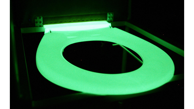 A glow-in-the-dark toilet seat that a Me