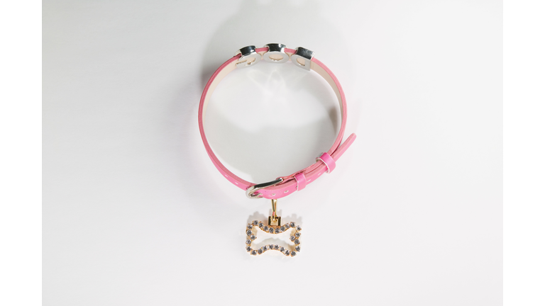 Pink dog collar