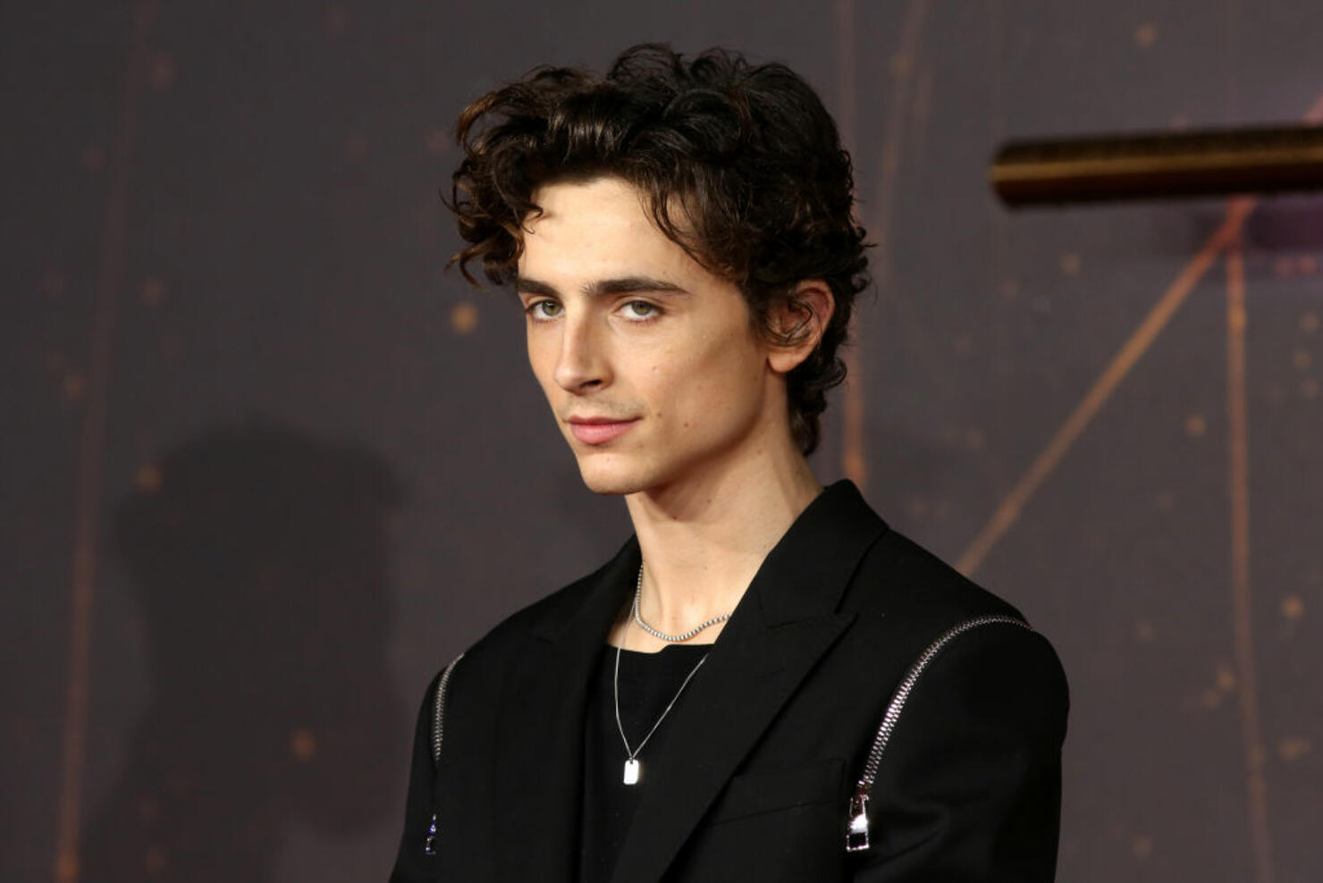 Zendaya & Timothée Chalamet Make Joint Red Carpet Return Wearing Vests —  See Photos