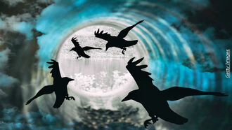 Bohemian Witchcraft / Spiritual Medium