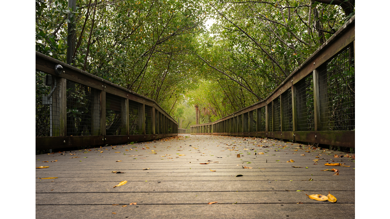 Riverwalk Boardwalk at Veterans Park, Port St Lucie