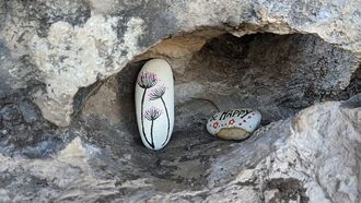 National Park Sparks Strange Debate Over Painted Rocks Left at Site