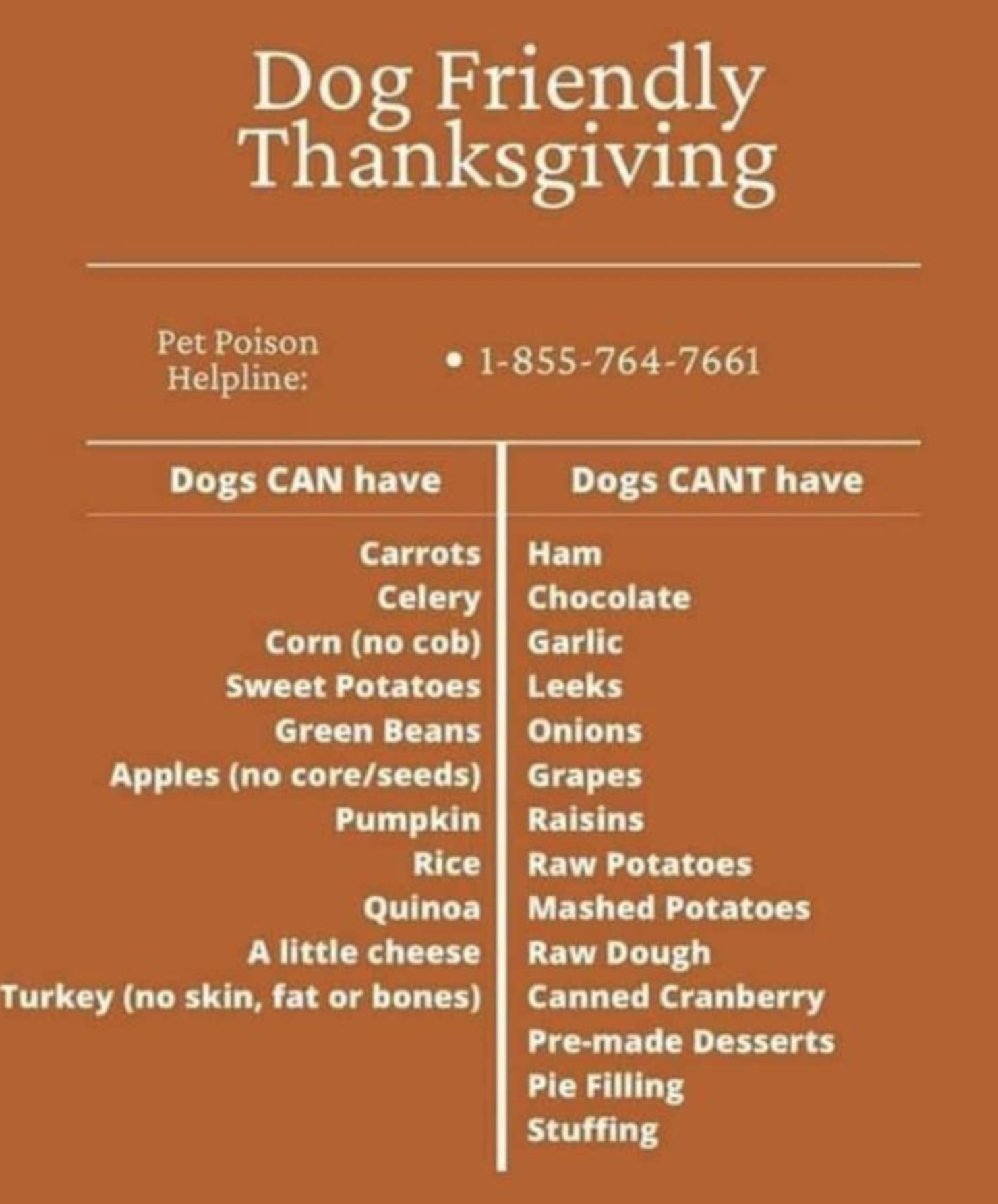 Can dogs shop eat thanksgiving turkey