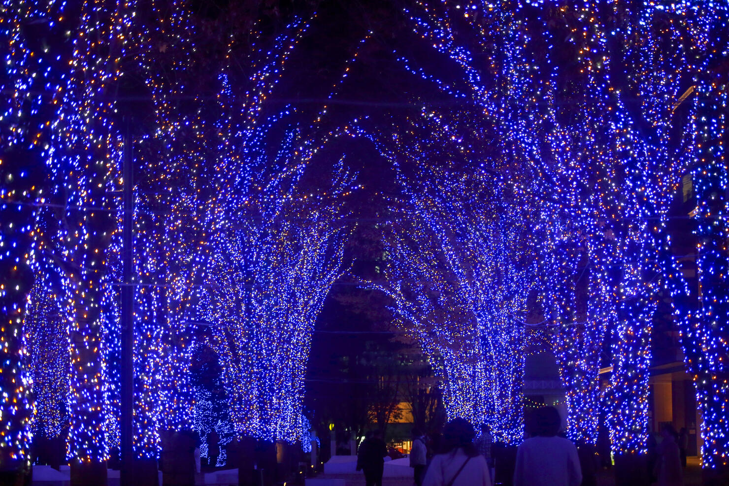 Winter illuminations in Yokohama Minato Mirai