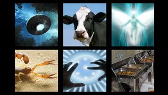 In Coast You Missed It 11/19/21