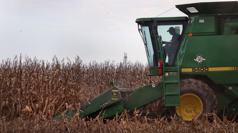 Black Farmers