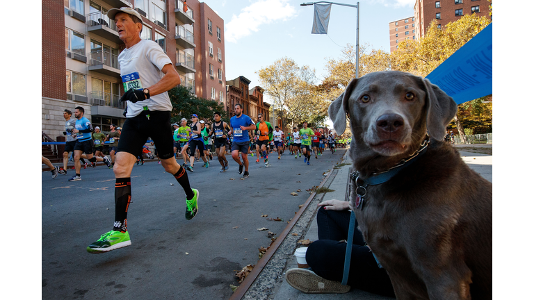 2016 TCS New York City Marathon