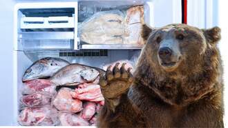 WATCH: Bear Sneaks Into Colorado Garage Freezer, Eats $600 Worth Of Meat