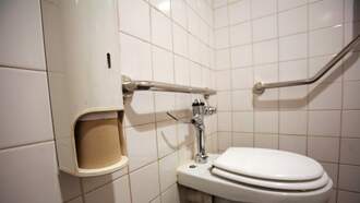 Metallica's Lars Ulrich As... A Toilet?!