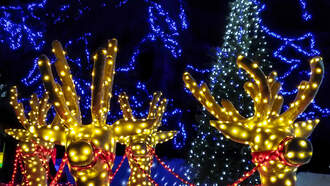 Where You Can Find The Best Holiday Lights Display In California