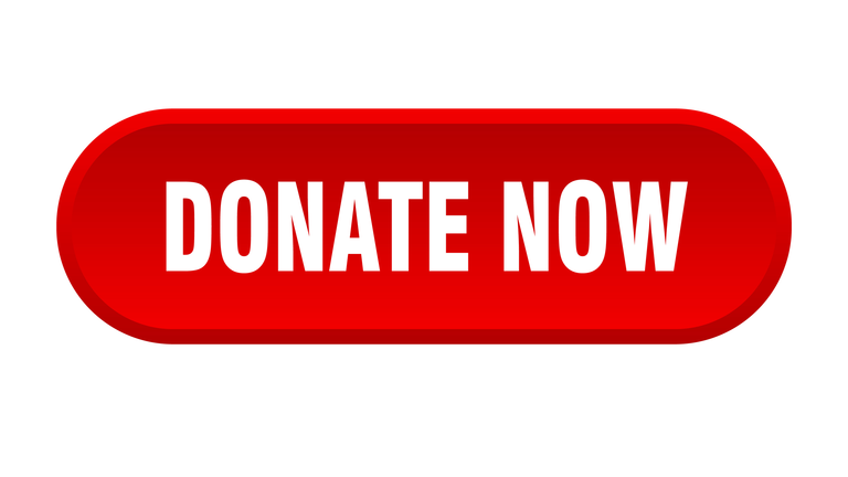 donate now button. donate now rounded red sign. donate now