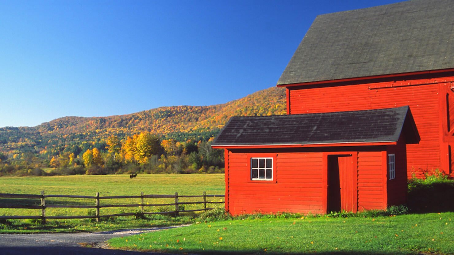 Red Barn nestled in the  Bershire Hills