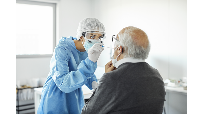 Doctor taking swab test sample of elderly patient, PCR.