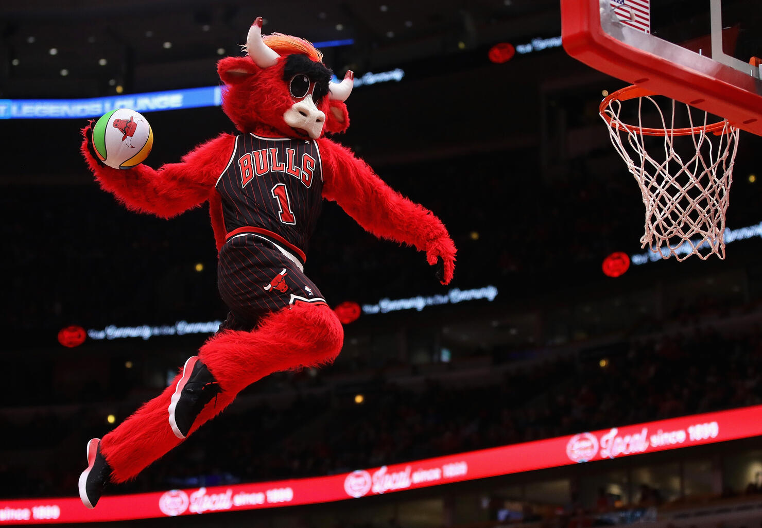 LOOK: NBA mascots dunking. That's all