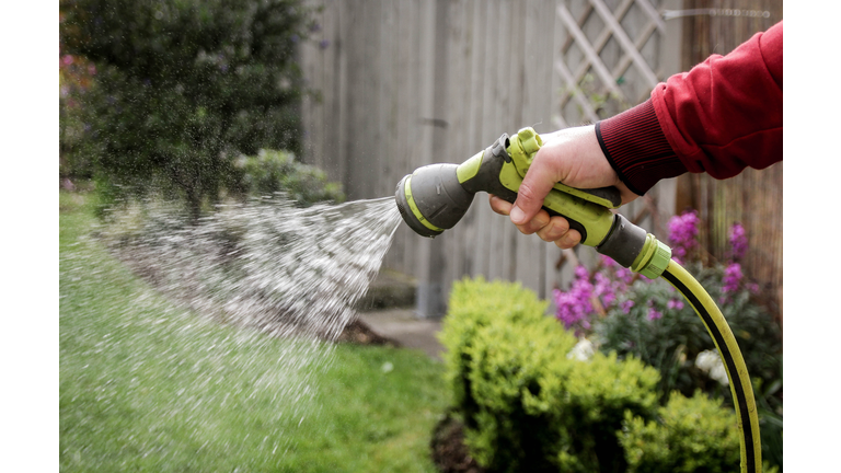 Watering plants in the garden