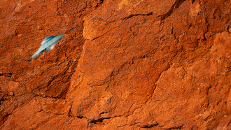 NASA Footage Appears To Show UFO That Crashed On Mars